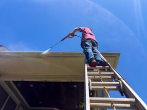 gutter cleaning